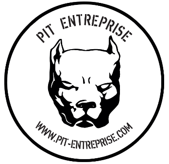 Pit Entreprise logo